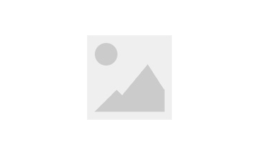 COMPANY INFO